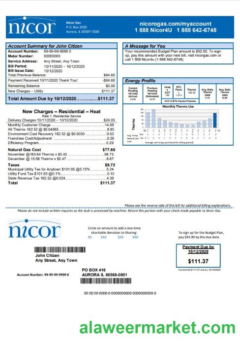 USA Illinois Nicor gas utility bill template in Word and PDF format